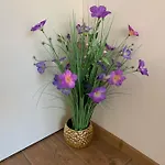 Valencia Gardens Deluxe * Nessebar