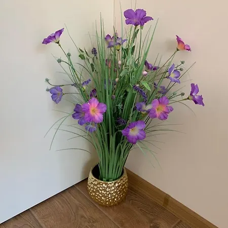 Valencia Gardens Deluxe * Nesebăr