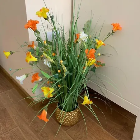 Apartament Valencia Gardens Deluxe *