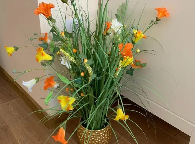 Апартаменты Valencia Gardens Deluxe *